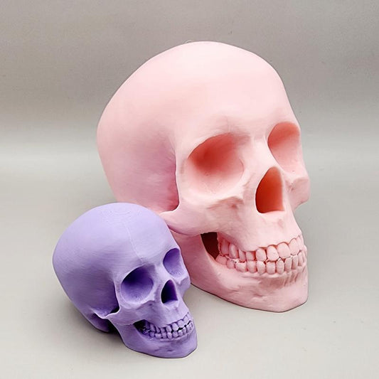 Pastel Halloween Skeleton Head – 3D Decor for Halloween Display & Tiered Tray