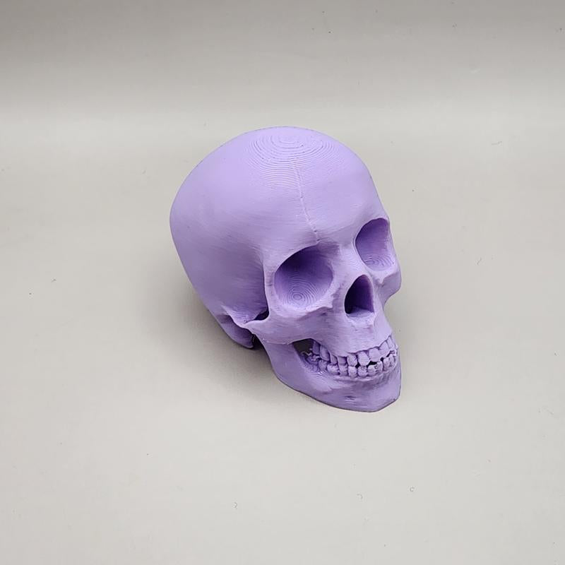 Pastel Halloween Skeleton Head – 3D Decor for Halloween Display & Tiered Tray