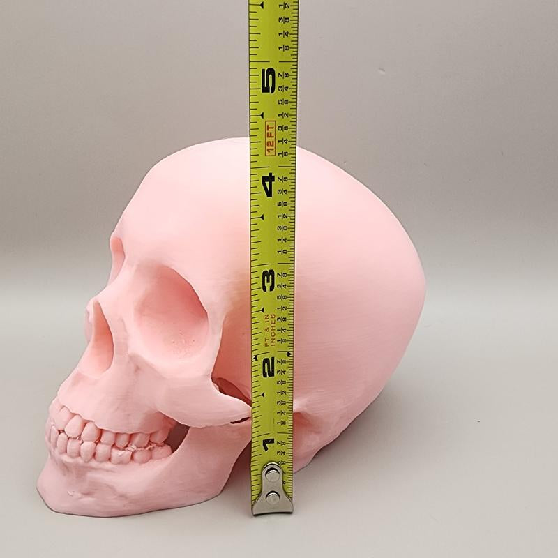 Pastel Halloween Skeleton Head – 3D Decor for Halloween Display & Tiered Tray