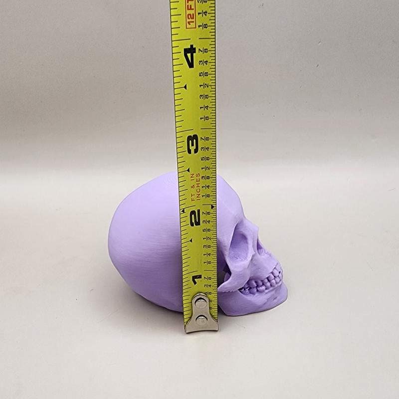 Pastel Halloween Skeleton Head – 3D Decor for Halloween Display & Tiered Tray